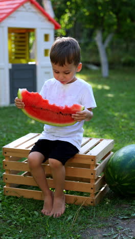 three-year-old kid sitting on the wooden crate enjoying watermelon. toddler boy sits outdoors eating a tasty fruit. vertical video.
