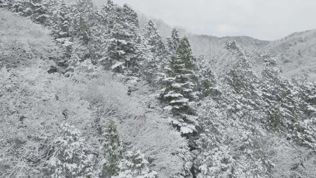 Aerial reveals winter neighborhood covered in Snow in Kyoto Japan after Forested Mountain