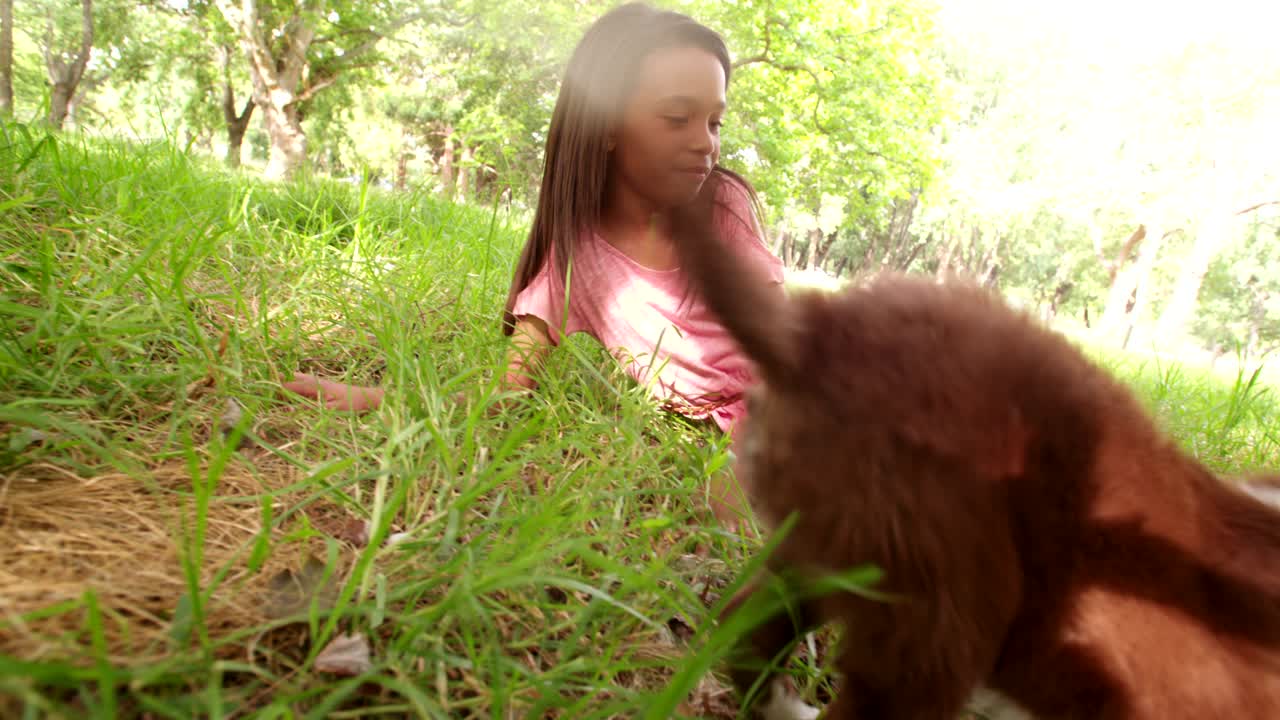 귀여운 젊은 아프리카계 미국인 긴 머리 갈색 소녀가 강아지를 안고 있습니다.