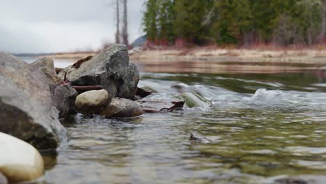 Close-up-Rocks-at-Rolling-Stream,-Shallow-Water,-with-Red-Shrubs,-Pine-Trees,-Cloudy-Skies-at-St