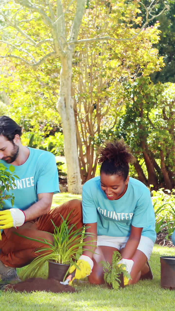 Group of volunteer planting in park
