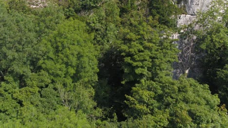 Dramatic-drone-footage-ascending-up-and-over-a-steep,-tree-lined-limestone-crag-revealing-the-rural-Yorkshire-countryside-with-farmland,-fields,-dry-stone-walls-and-hilly-landscape-in-the-distance