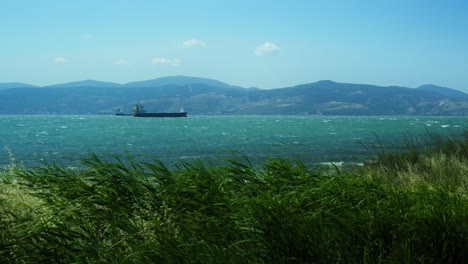 idyllic landscape of a beautiful blue coast on a windy and clear weather