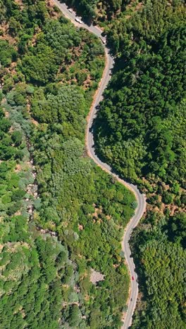 drone flyover mountain road on forested hilltop, scenic landscape, chile