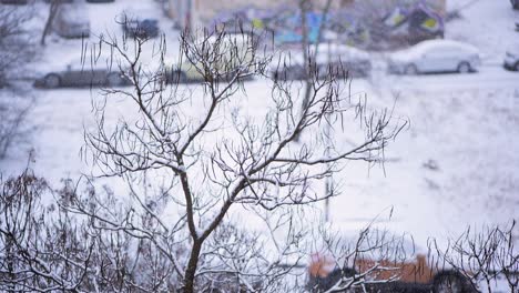 Clima-Invernal-Nublado-Y-Nevadas-En-Un-Entorno-Urbano-En-La-Ciudad