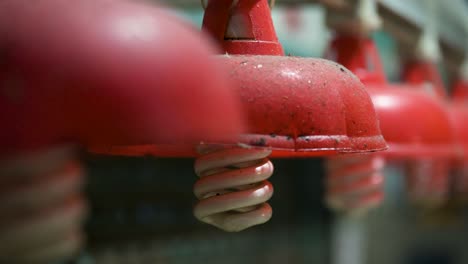 close-up of red lanterns at a closed hong kong wet market, showcasing traditional decor that is iconic to local markets in china.