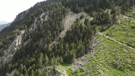 Toma-Aérea-De-Un-Dron-Volando-Hacia-Atrás-Mostrando-El-Bosque-De-Pinos-En-La-Empinada-Montaña-De-Los-Pirineos