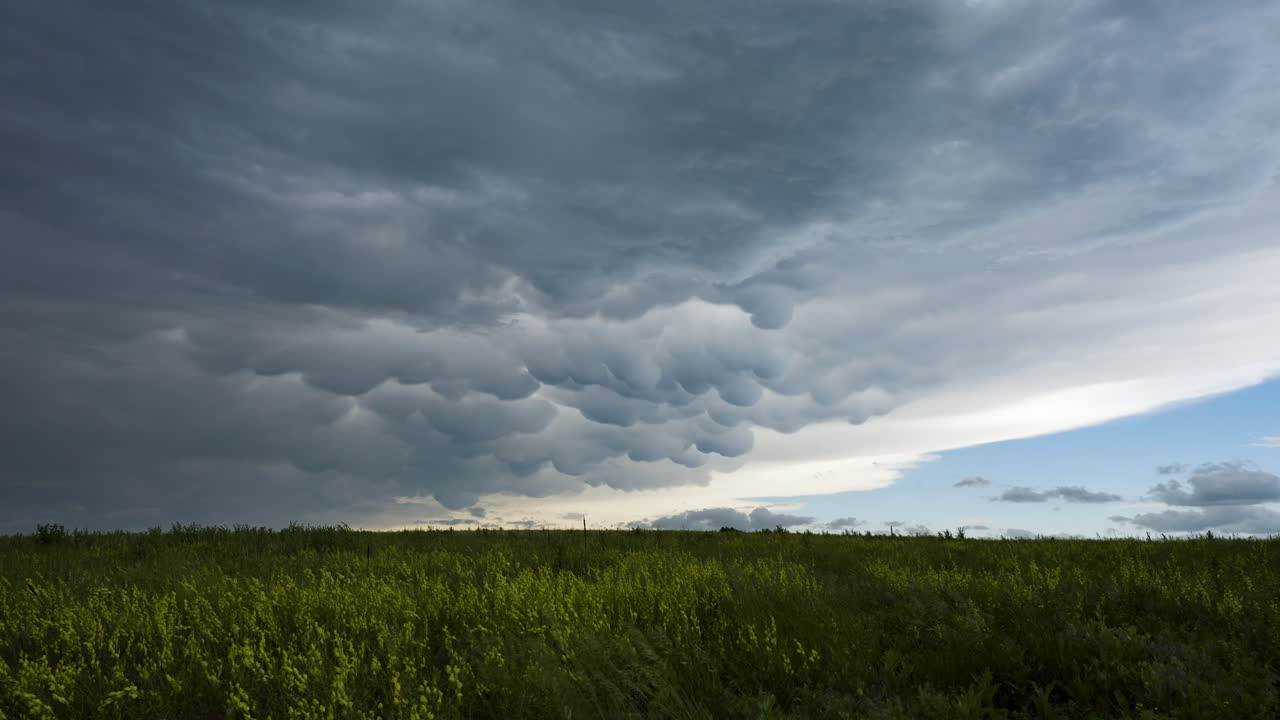 Awan Mammatus memenuhi langit saat badai berlalu bersama bunga-bunga musim semi.