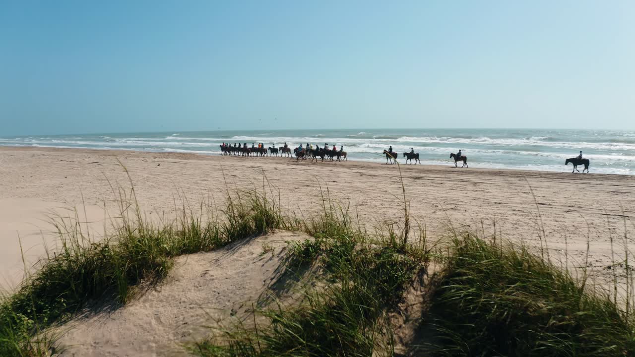 cavalgando na praia em south padre island, texas, afastamento aéreo de grande grupo de cavaleiros na costa do oceano com drone 4k
