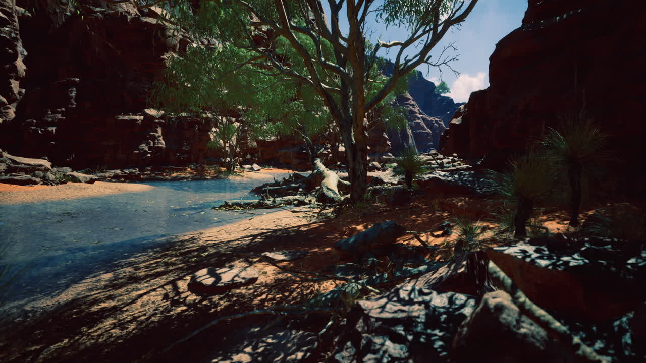 Serene oasis with clear water and vibrant trees in rocky landscape