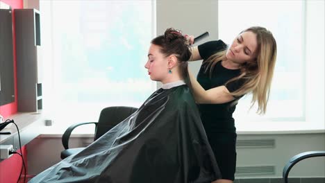 woman getting a haircut at a hair salon
