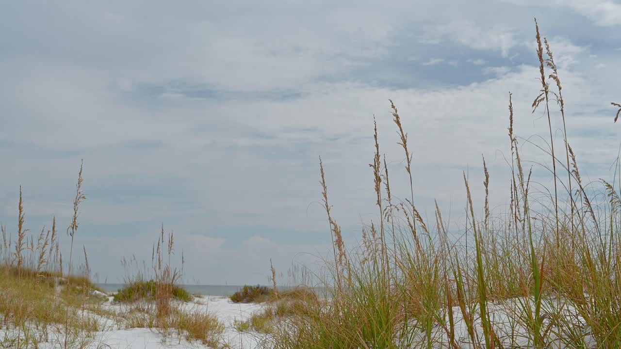 맑은 드라이브 하늘, 백사장, 맑은 에메랄드 물 펜사콜라에서 나바르 해변까지 국가 해안에 바다 귀리가 있는 모래 언덕