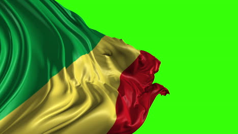 flag of the congo