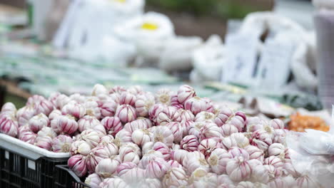 garlic on plastic crates for sale on public market at daytime in leiria, portugal