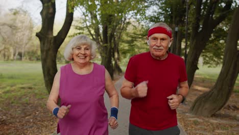 Pareja-De-Ancianos-Activos-Haciendo-Ejercicio-Cardiovascular-Por-La-Mañana.-Hombre,-Mujer-Corriendo-En-El-Parque-De-La-Ciudad.