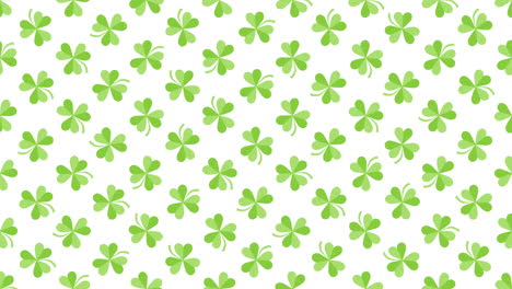 animation saint patricks day with motion green shamrocks 24