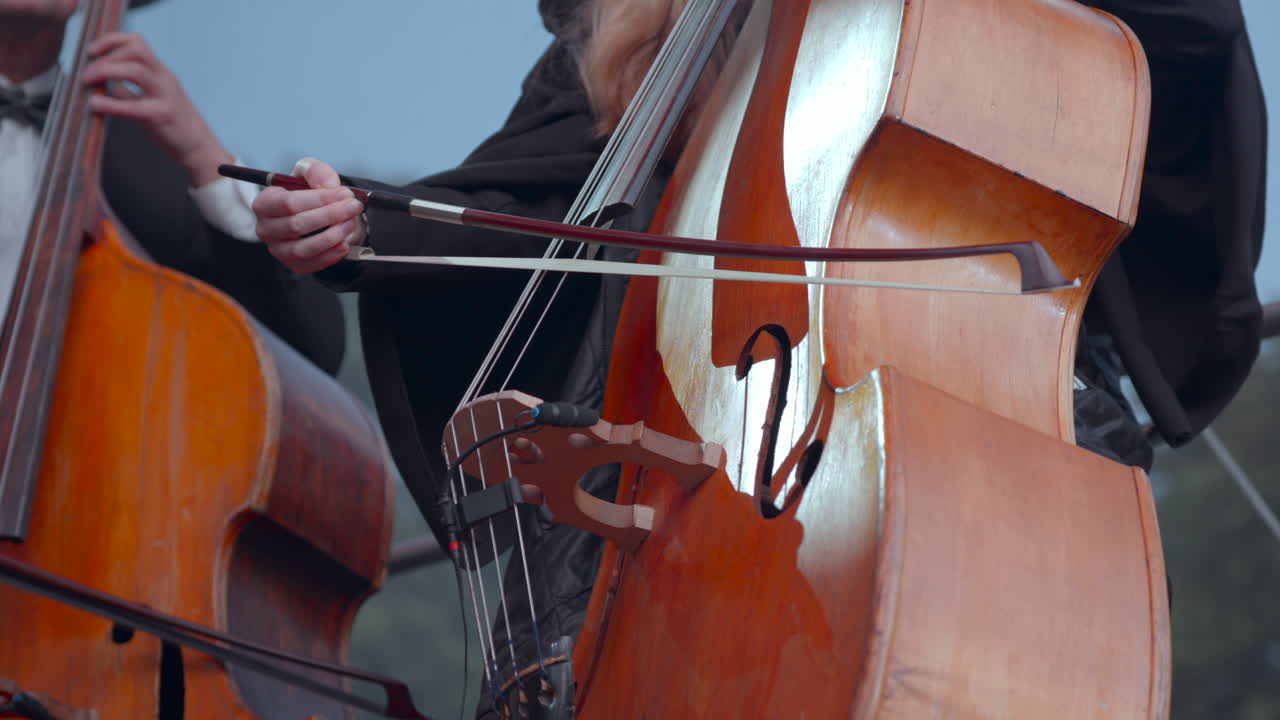 actuación de contrabajo