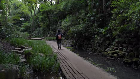 male hiker walking on path inside todoroki valley park in central tokyo