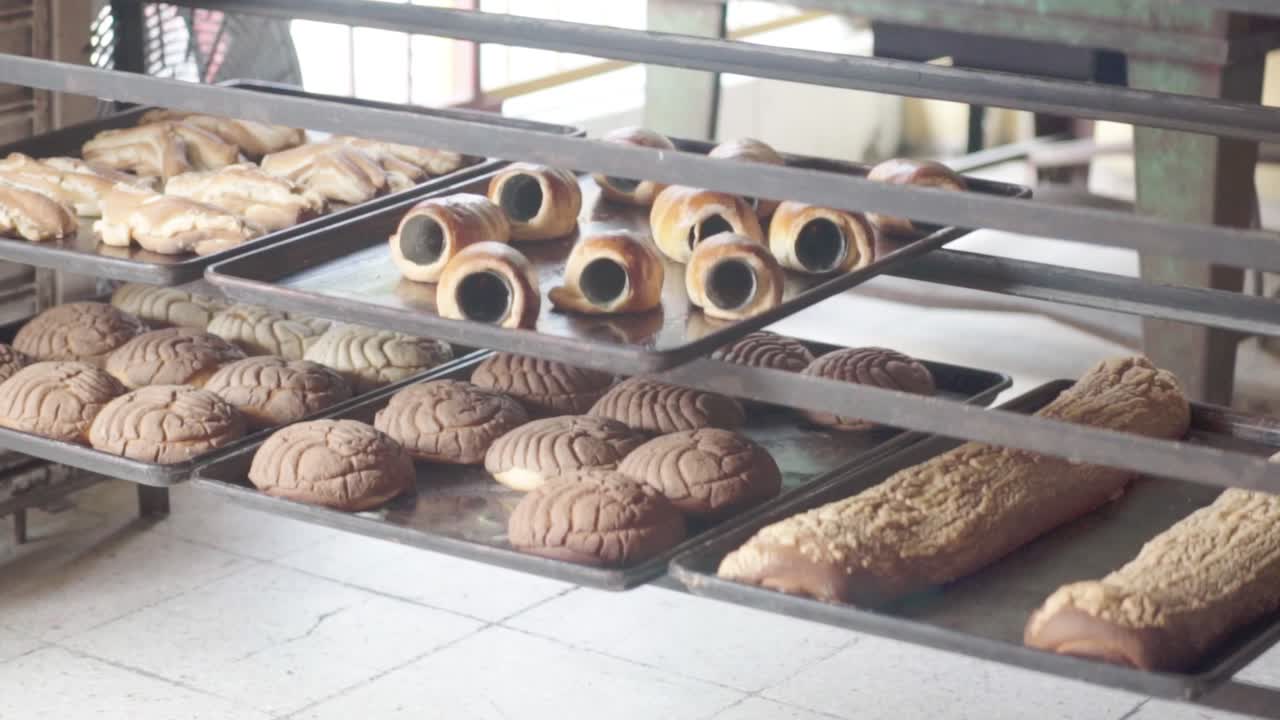 Nahaufnahme von mehreren Blechen mit verschiedenen Backwaren, die in einer Bäckerei auf Gittern abkühlen