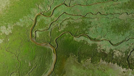 unique canal patterns through green river delta landscape