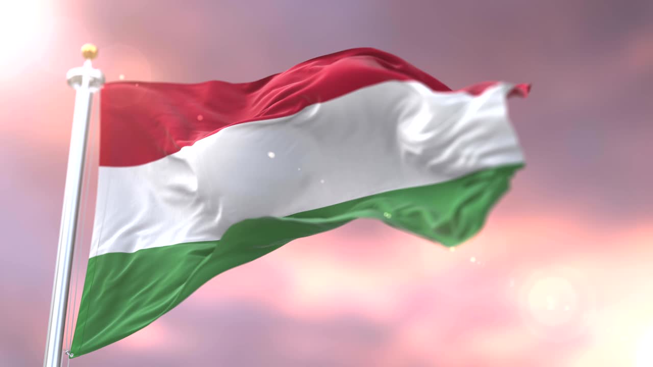 가리 발이 바람에 흔들리는 서서히 해가 지면, 루프