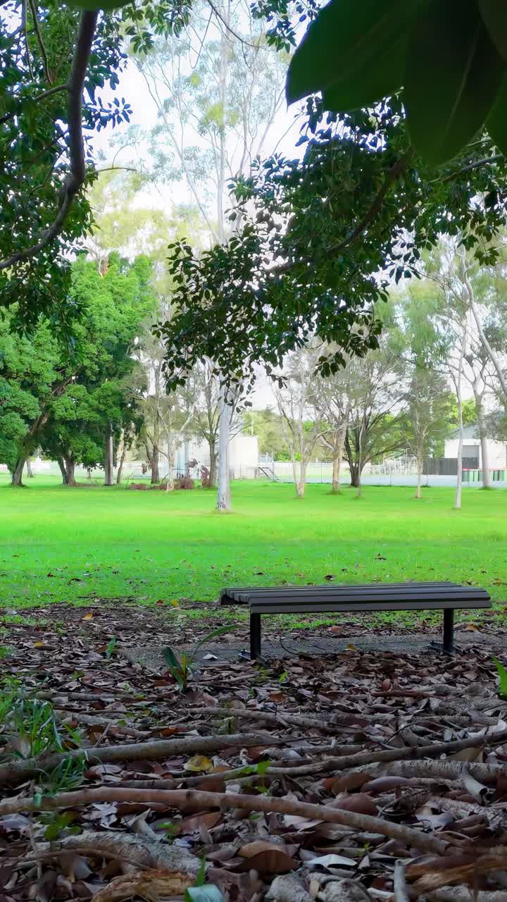 Pemandangan yang tenang di taman Gold Coast, menampilkan sebuah bangku di bawah pohon beringin dengan tanaman hijau yang rimbun