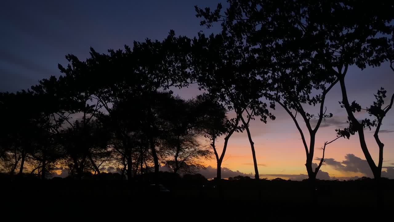 Establisher pan shot of silhouetted trees against orange blue sky at dusk