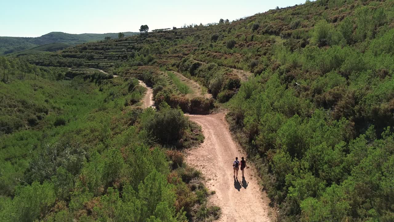 Tomada de drone em movimento de duas garotas morenas caminhando em uma estrada de terra cercada por coníferas, amendoeiras e vegetação