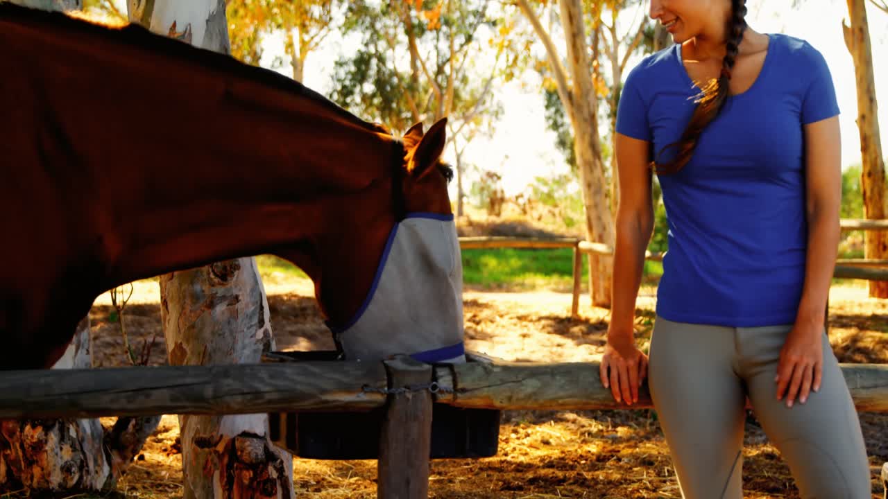 mujer alimentando a un caballo en el rancho 4k