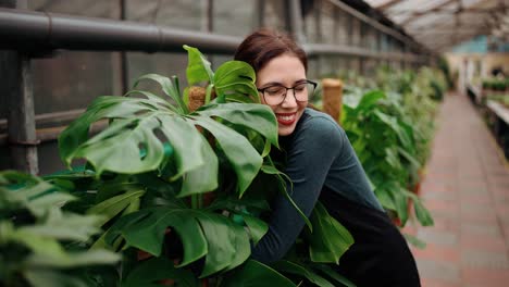 Beautiful-female-garden-worker-embrace-big-leaf-flower-with-excitement-in-greenhouse