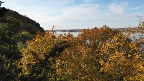 aerial-fall-colors-in-peaceful-forest