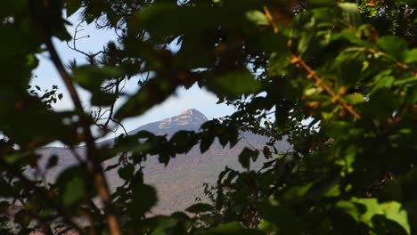 el pico del monte chocorua a través de los árboles