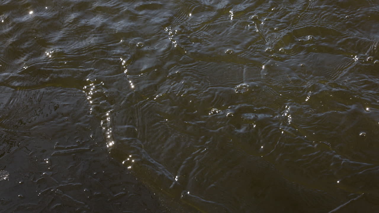 자연 속 의 호수