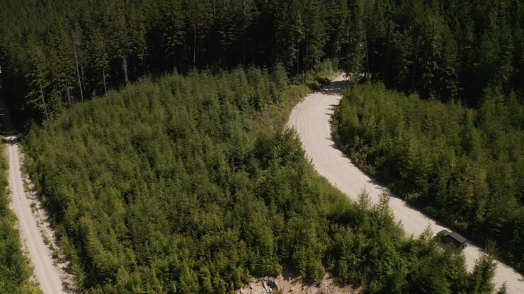 Aerial following a jeep driving off-road on a path hidden between a dense green pine woodland at daytime, British Columbia, Canada