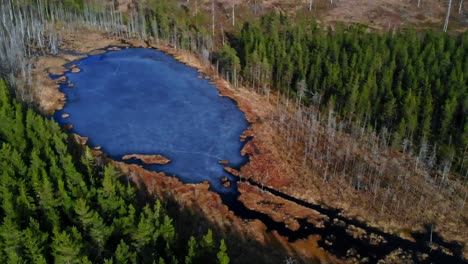 drone shot of a small frozen lake in the forest in sweden