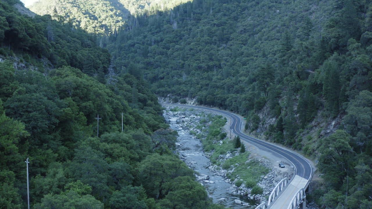 녹색 계곡에서 드론을 괴롭히는 새들, 공중에서 드론 주변의 새 떼