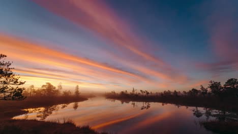 early morning timelapse in a swamp