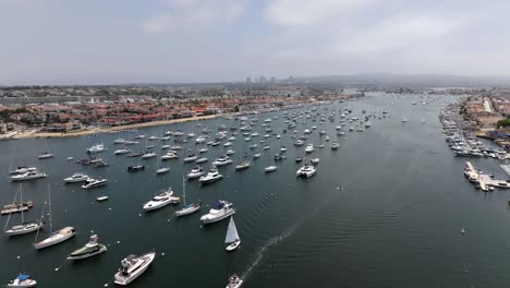 aerial view of a luxurious marina with boats and yachts