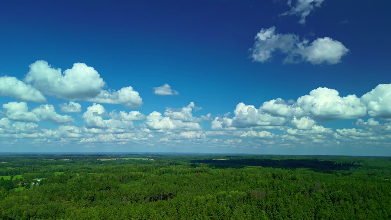 disparo aéreo de avión no tripulado volando alto sobre un denso bosque verde con nubes blancas pasando por un día soleado