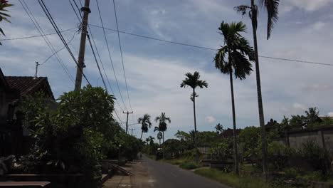 Palm-Street-Road-Village-En-Batuan,-Bali,-Indonesia,-Vibraciones-Tradicionales-Casas-Balinesas-Y-Barrio