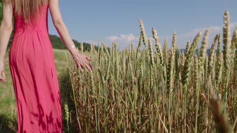 a woman in a red dress is walking along a grain field