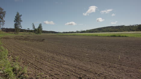 2-MONTH-TIMELAPSE-of-crops-growing-from-seed