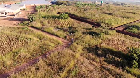 Pareja-De-Residentes-No-Identificados-En-El-Campo-De-Refugiados-De-Dzaleka,-Vista-Aérea