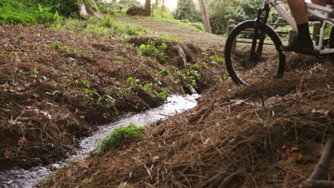 Ciclista-De-Montaña-Masculino-Montando-En-El-Bosque