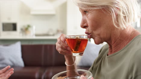 happy diverse senior women drinking tea and discussing on sofa in sunny living room, slow motion