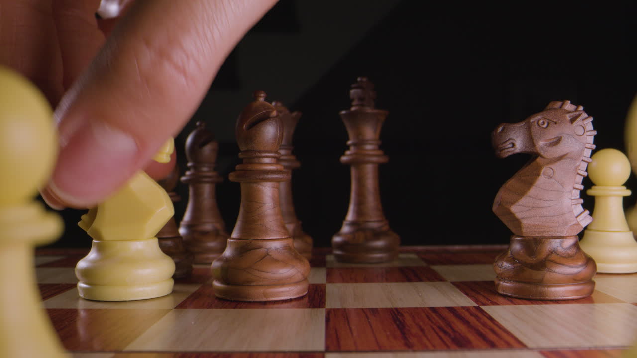 Chess - white knight. Macro.