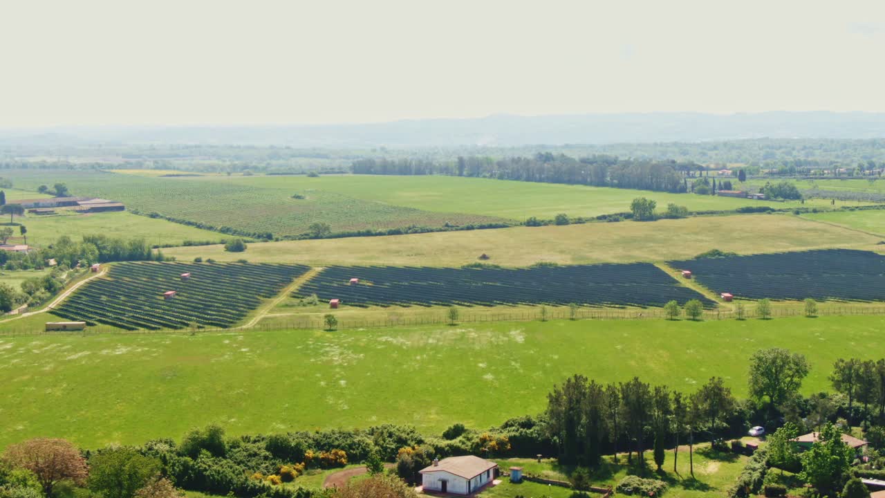 Aerial View of Solar Panels Producing Renewable Energy