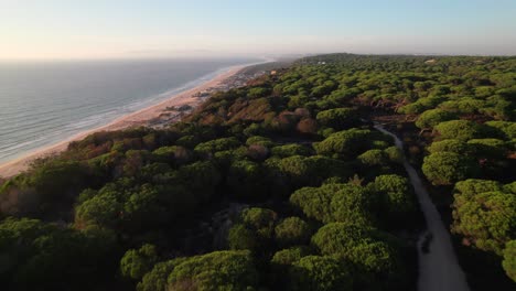 Portugese-coastline-in-late-summer