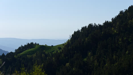 Handheld-static-view-of-pine-tree-forest-on-exposed-ridgeline-of-kavkaz-mountain