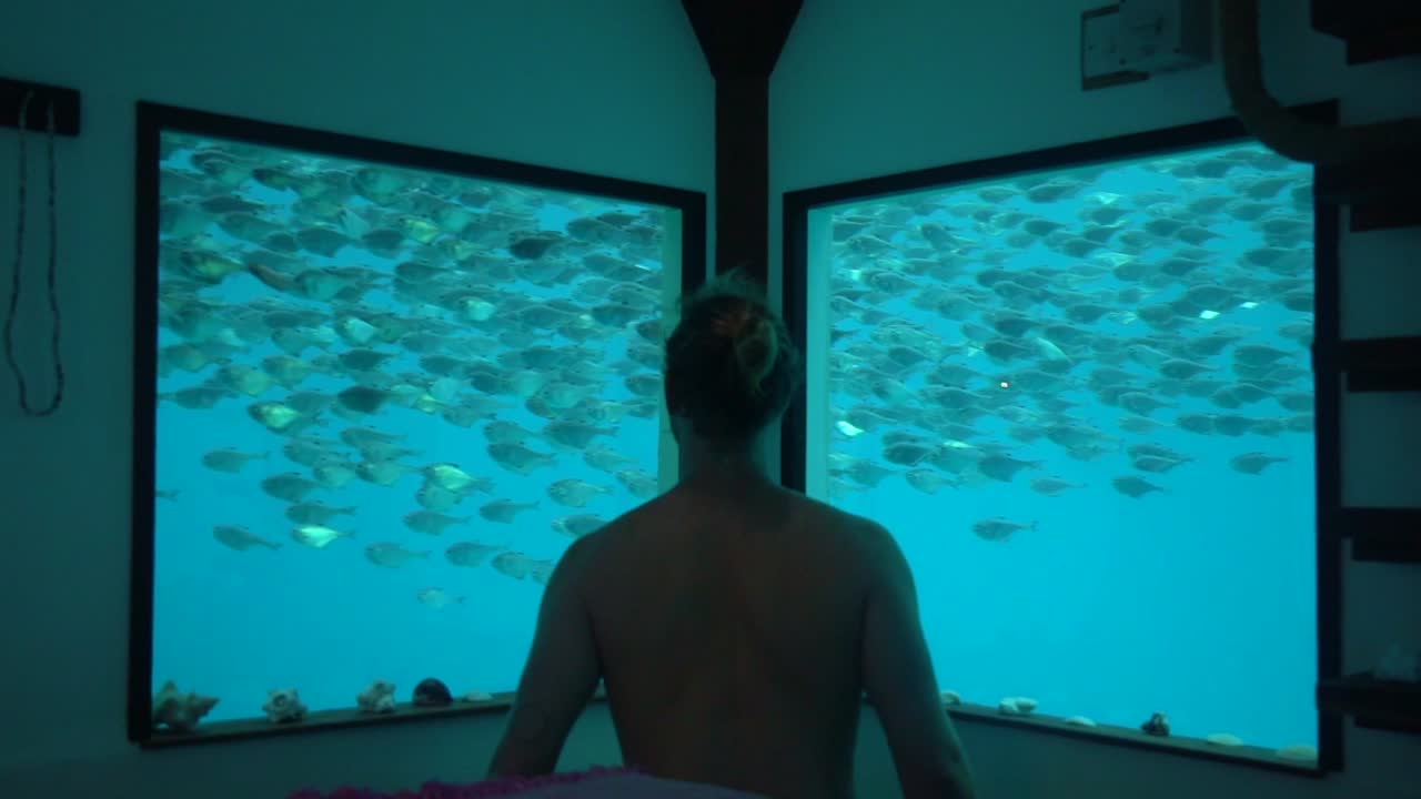 un hombre sin camisa se para en un hotel submarino mirando a los peces nadando desde su ventana tanzania áfrica